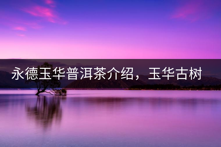 永德玉華普洱茶介紹，玉華古樹茶口感特點(diǎn)