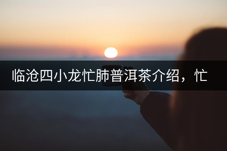 臨滄四小龍忙肺普洱茶介紹，忙肺古樹茶口感特點(diǎn)