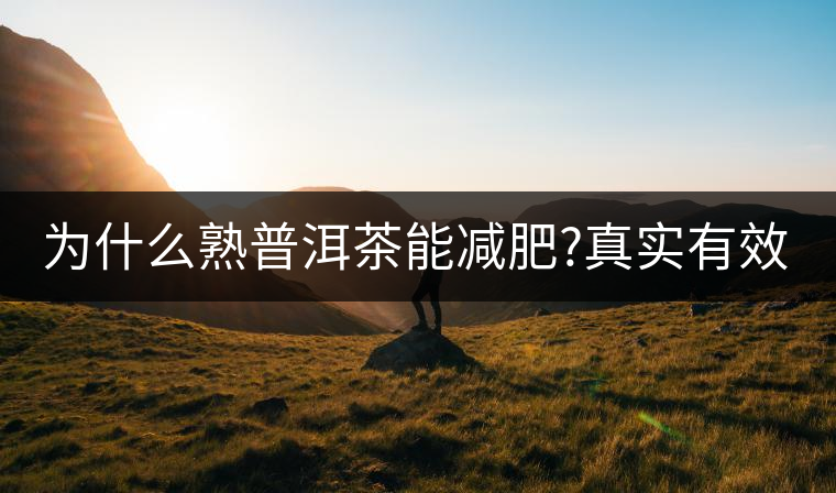 為什么熟普洱茶能減肥?真實(shí)有效嗎？