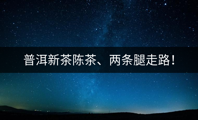 普洱新茶陳茶、兩條腿走路！