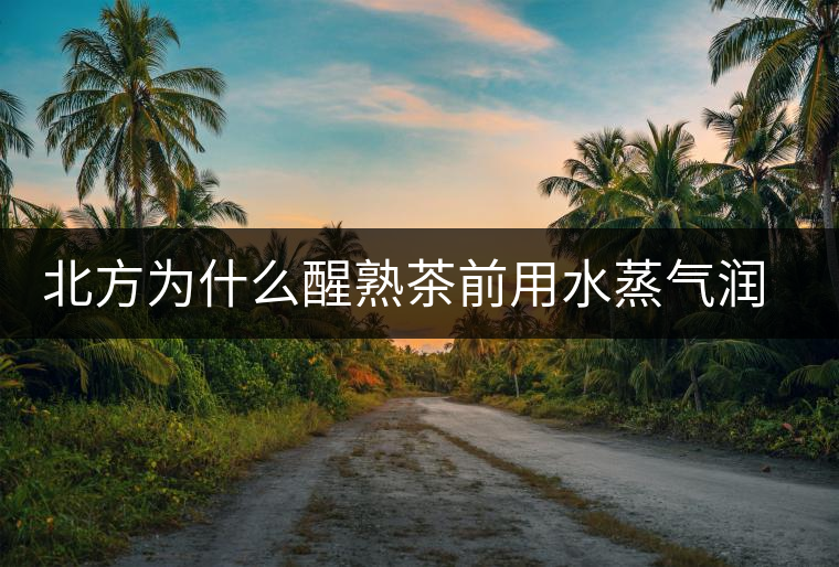 北方為什么醒熟茶前用水蒸氣潤一下？有何用處？