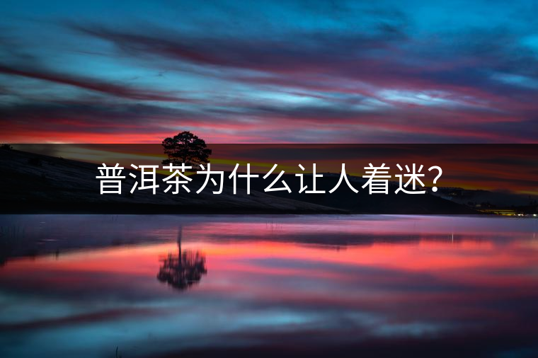 普洱茶為什么讓人著迷? 普洱茶為什么讓人著迷?