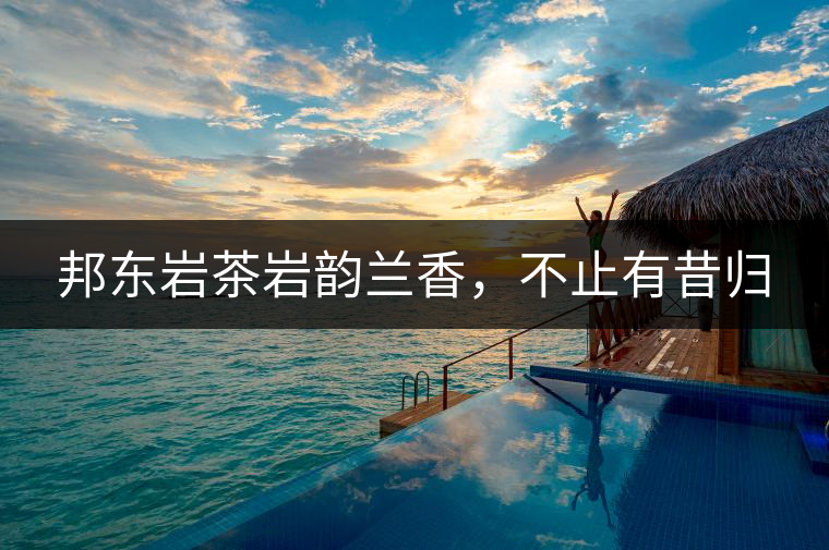 邦東巖茶巖韻蘭香，不止有昔歸