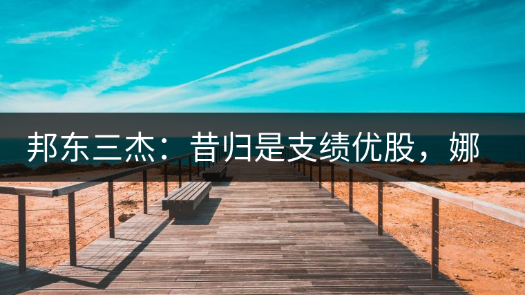 邦東三杰：昔歸是支績(jī)優(yōu)股，娜罕是支潛力股