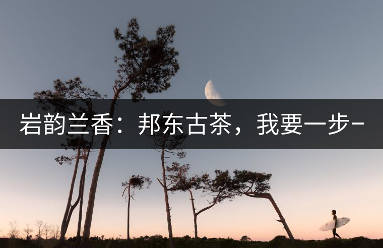 巖韻蘭香：邦東古茶，我要一步一步往上爬！