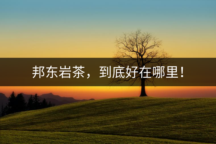 邦東巖茶，到底好在哪里！