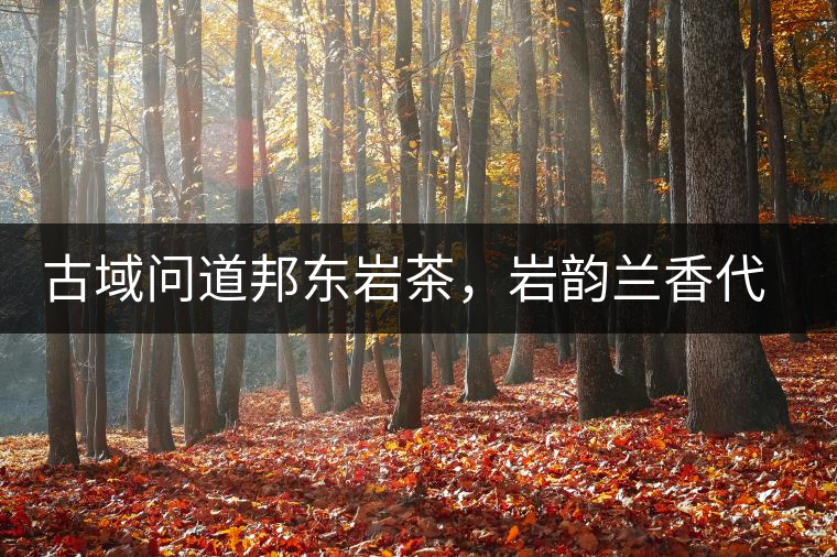 古域問道邦東巖茶,巖韻蘭香代表邦東古樹茶特點(diǎn) 古域問道邦東巖茶,巖韻蘭香代表邦東古樹茶特點(diǎn)