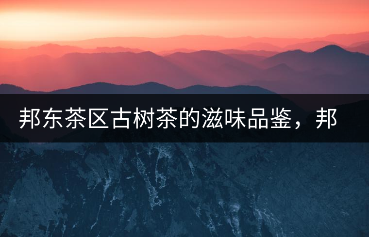 邦東茶區(qū)古樹茶的滋味品鑒，邦東普洱茶特點