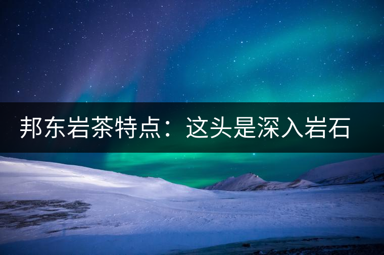 邦東巖茶特點(diǎn)：這頭是深入巖石的根，那頭是臨風(fēng)飄香的古韻