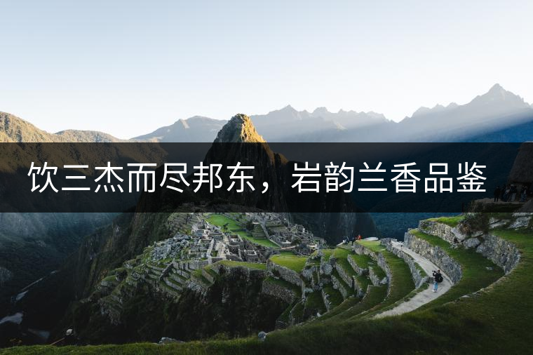 飲三杰而盡邦東，巖韻蘭香品鑒：生于山石上，韻味正當