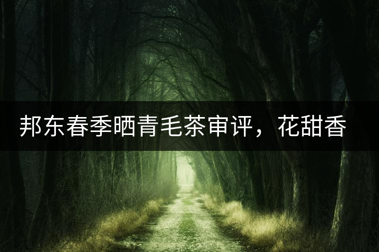 邦東春季曬青毛茶審評，花甜香高揚甘爽潤滑