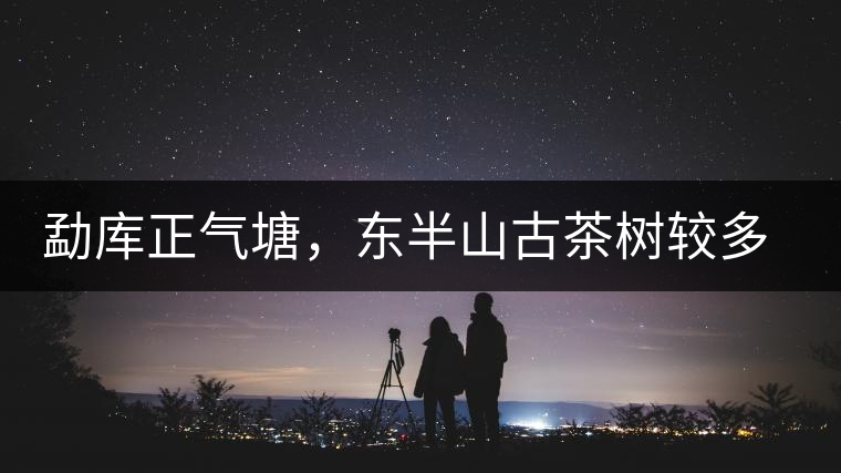 勐庫正氣塘，東半山古茶樹較多的寨子