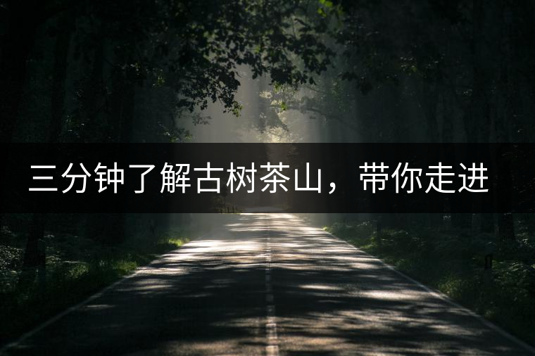 三分鐘了解古樹茶山，帶你走進西蒙佛殿山