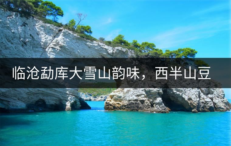 臨滄勐庫大雪山韻味，西半山豆腐寨古樹茶