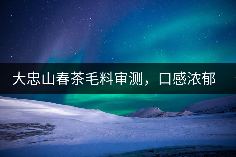 大忠山春茶毛料審測，口感濃郁花香與甜潤口感相得益彰