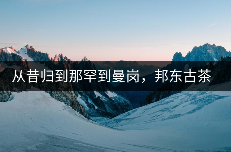 從昔歸到那罕到曼崗，邦東古茶藏著一條規(guī)律！