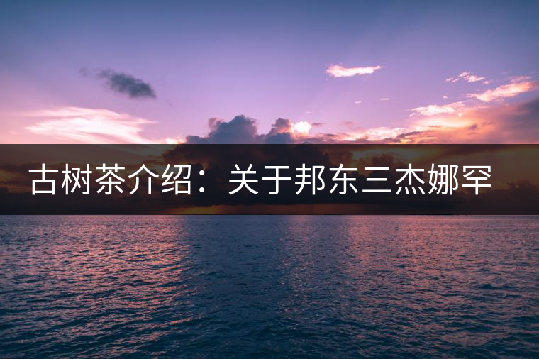 古樹茶介紹:關(guān)于邦東三杰娜罕的一些冷知識(shí) 古樹茶介紹:關(guān)于邦東三杰娜罕的一些冷知識(shí)