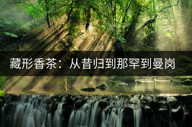 藏形香茶：從昔歸到那罕到曼崗，邦東古茶藏著一條規(guī)律！