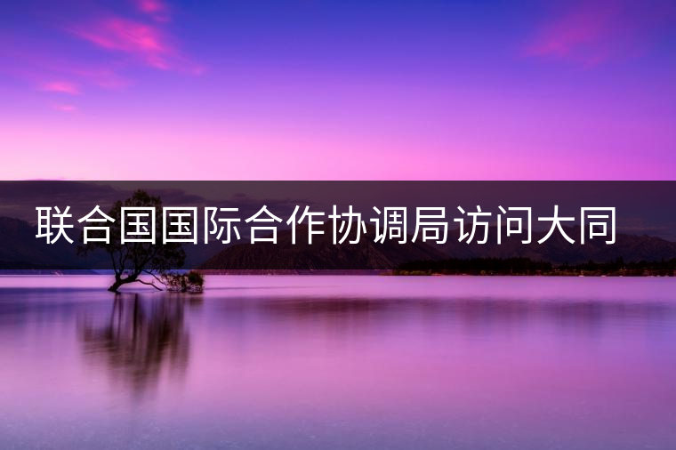 聯(lián)合國(guó)國(guó)際合作協(xié)調(diào)局訪問大同世界總部