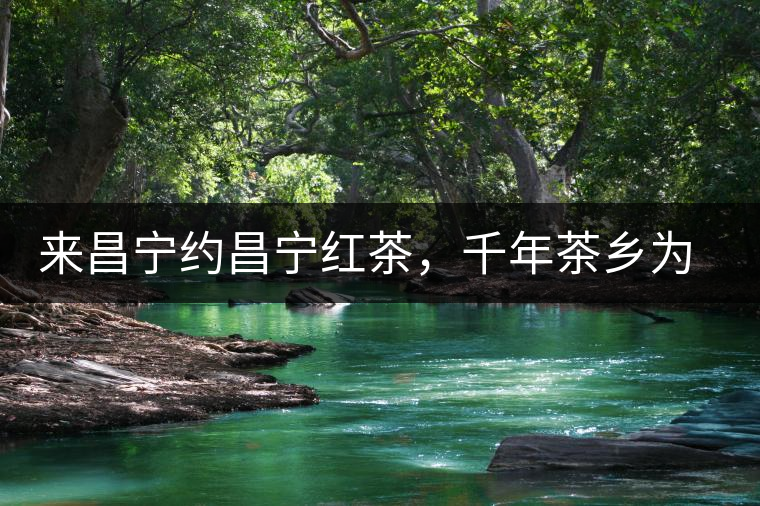 來昌寧約昌寧紅茶，千年茶鄉(xiāng)為您開啟生態(tài)之旅