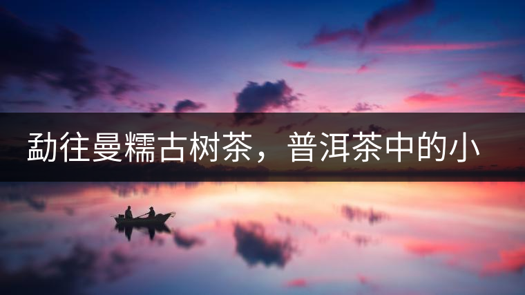 勐往曼糯古樹(shù)茶，普洱茶中的小班章