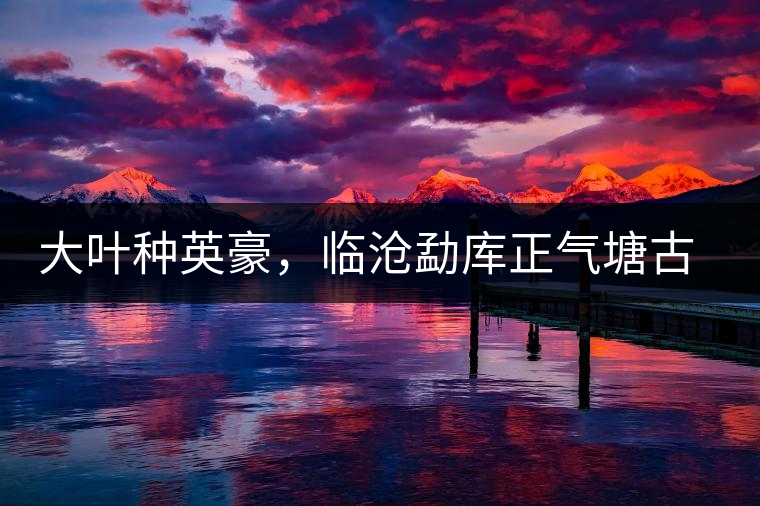 大葉種英豪，臨滄勐庫正氣塘古樹茶介紹