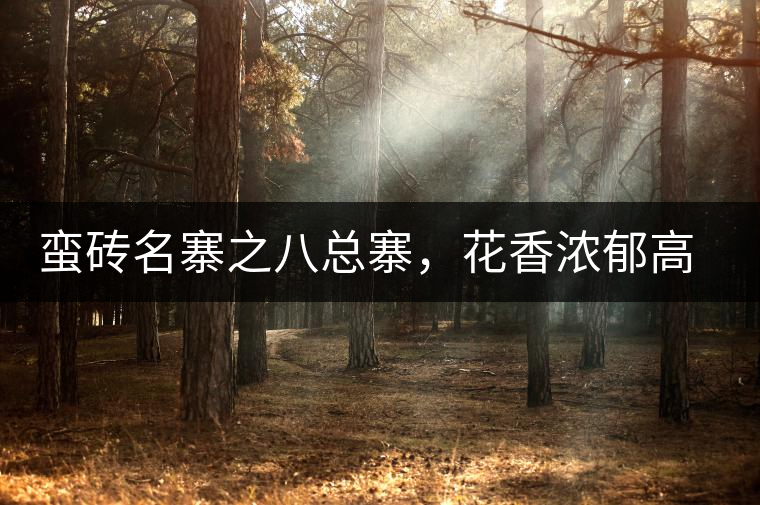 蠻磚名寨之八總寨，花香濃郁高揚(yáng)