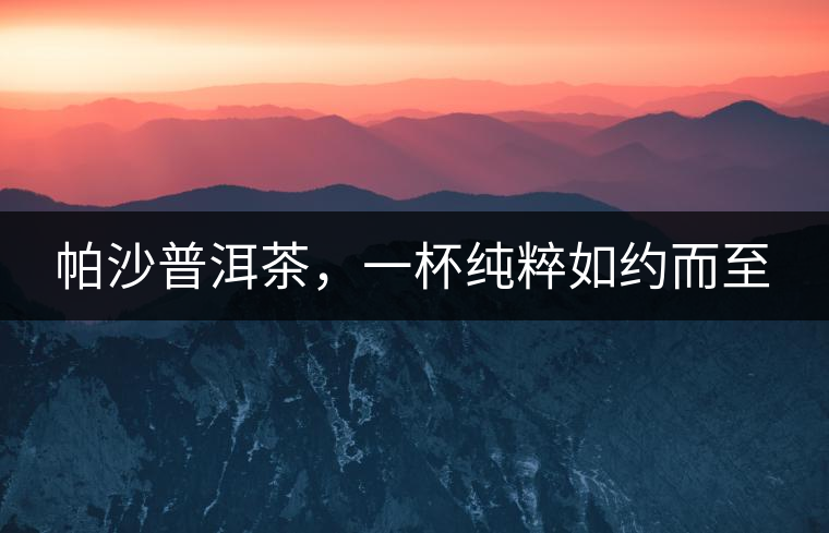 帕沙普洱茶，一杯純粹如約而至