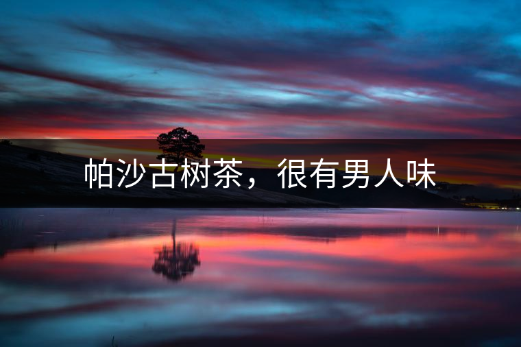 帕沙古樹茶，很有男人味