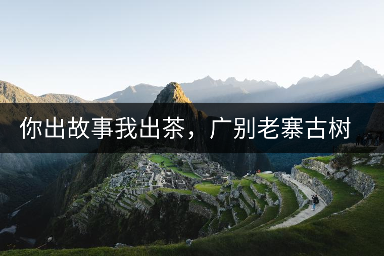 你出故事我出茶，廣別老寨古樹妖茶