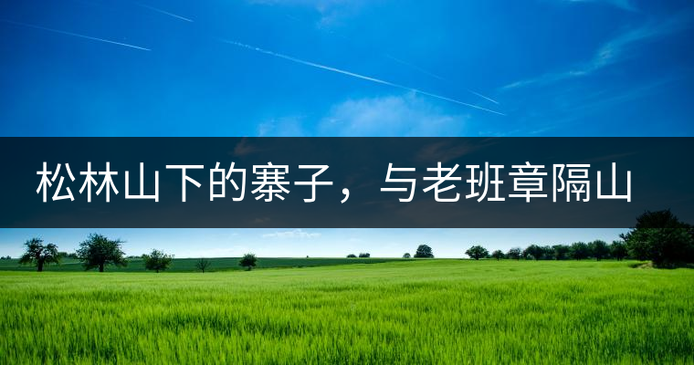 松林山下的寨子，與老班章隔山相望的廣別老寨
