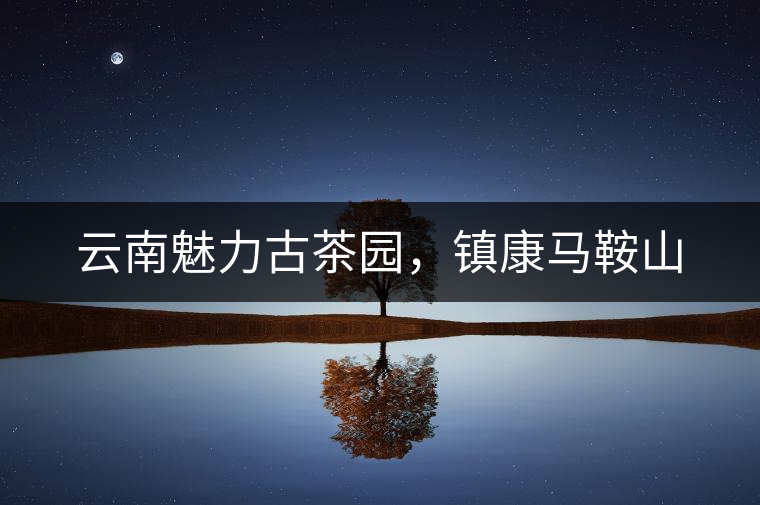 云南魅力古茶園，鎮(zhèn)康馬鞍山