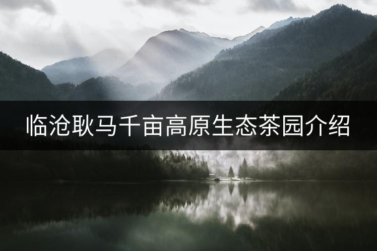 臨滄耿馬千畝高原生態(tài)茶園介紹