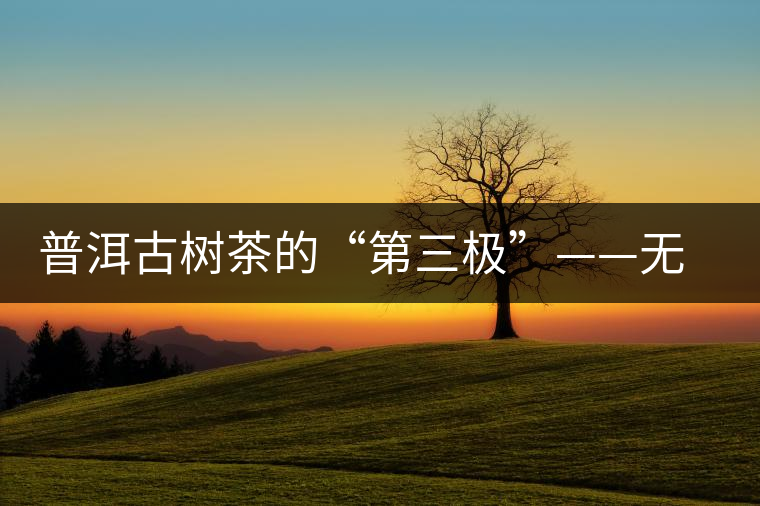 普洱古樹茶的“第三極”——無量山茶區(qū) 普洱古樹茶的“第三極”——無量山茶區(qū)