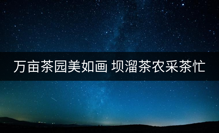萬(wàn)畝茶園美如畫 壩溜茶農(nóng)采茶忙 萬(wàn)畝茶園美如畫 壩溜茶農(nóng)采茶忙