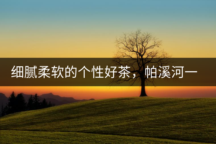 細膩柔軟的個性好茶，帕溪河一扇磨古樹茶