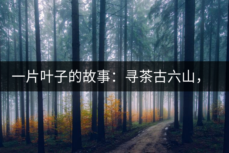 一片葉子的故事：尋茶古六山，倚邦最神秘
