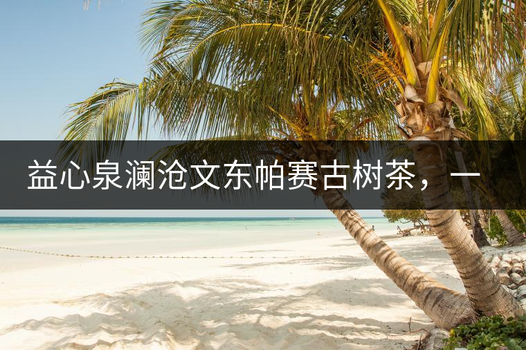 益心泉瀾滄文東帕賽古樹茶，一山茶兩岸香