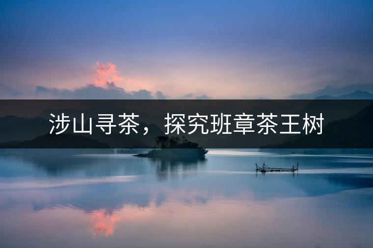 涉山尋茶，探究班章茶王樹(shù)