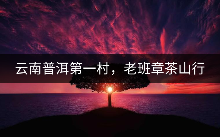云南普洱第一村，老班章茶山行