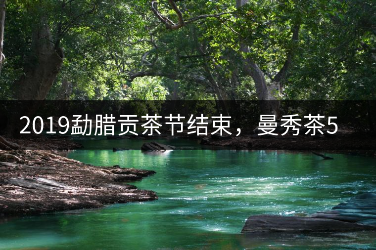 2019勐臘貢茶節(jié)結(jié)束，曼秀茶5公斤107萬奪得金獎