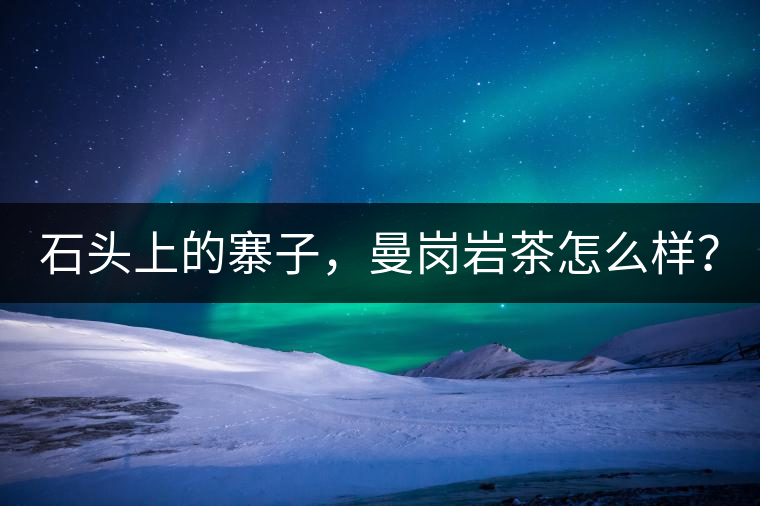 石頭上的寨子，曼崗巖茶怎么樣？