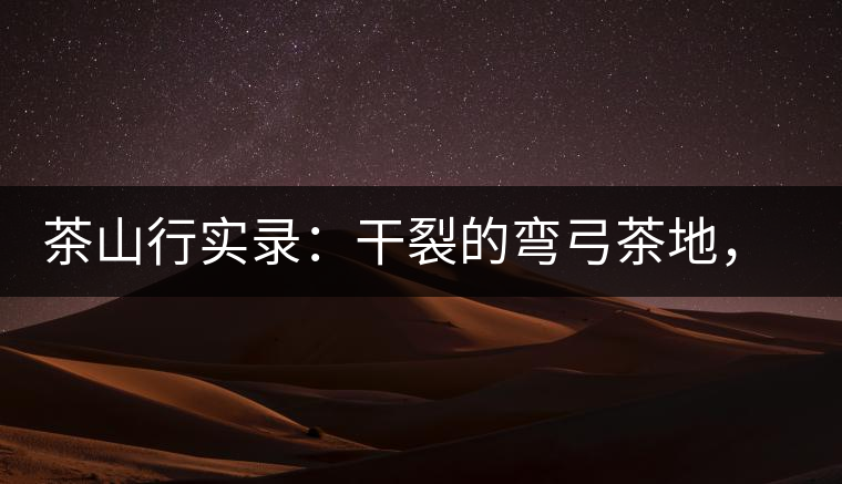 茶山行實(shí)錄：干裂的彎弓茶地，干旱減產(chǎn)已成定局