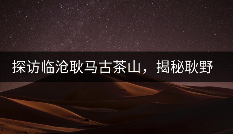 探訪臨滄耿馬古茶山，揭秘耿野生古茶樹群落