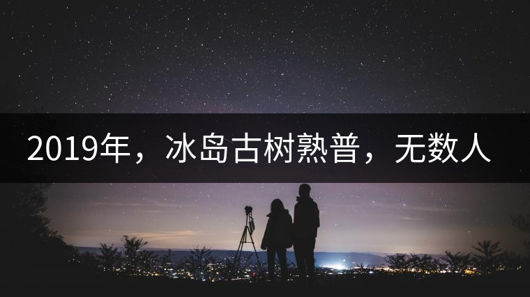 2019年，冰島古樹熟普，無數(shù)人在尋找