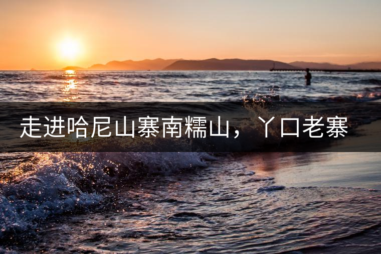 走進(jìn)哈尼山寨南糯山，丫口老寨普洱茶特點(diǎn)