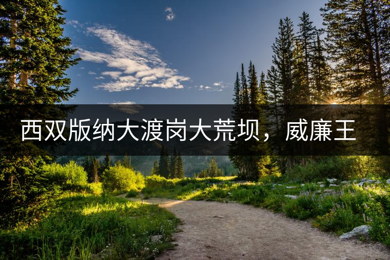 西雙版納大渡崗大荒壩，威廉王子曾經(jīng)到過的古樹茶山