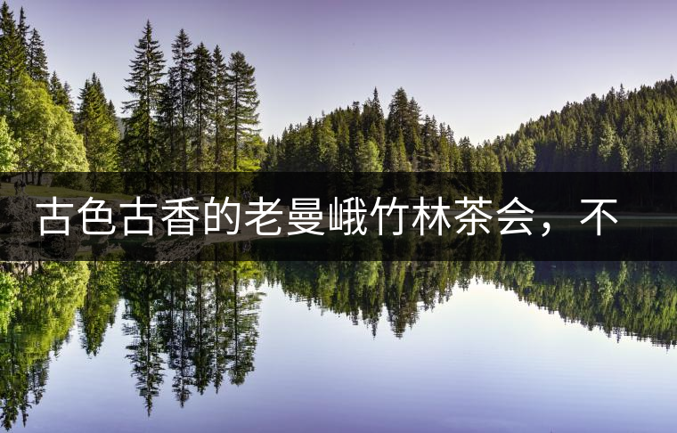 古色古香的老曼峨竹林茶會(huì)，不一樣的古樹茶