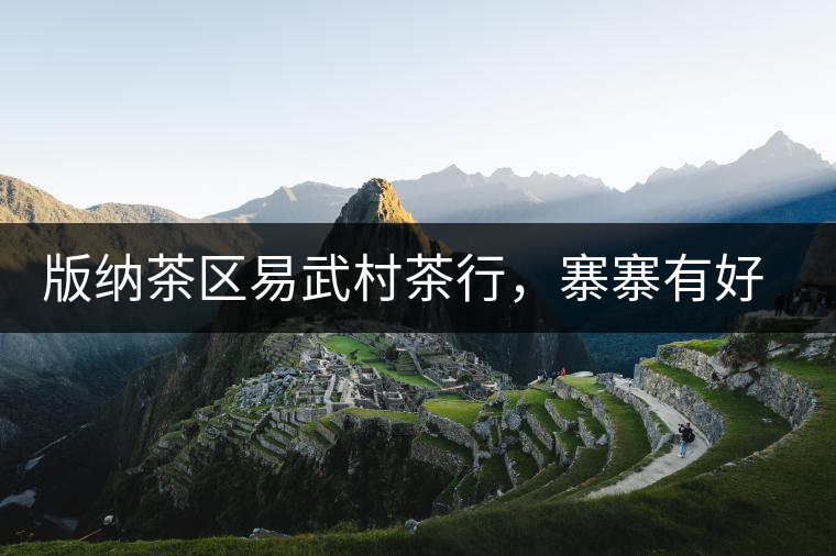 版納茶區(qū)易武村茶行，寨寨有好茶處處古茶香