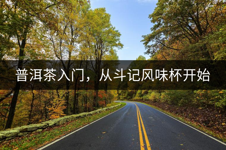 普洱茶入門，從斗記風(fēng)味杯開始